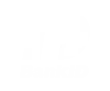 bankid-vit